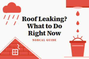 Roof leaking illustration: rain cloud, roof and drip into a bucket